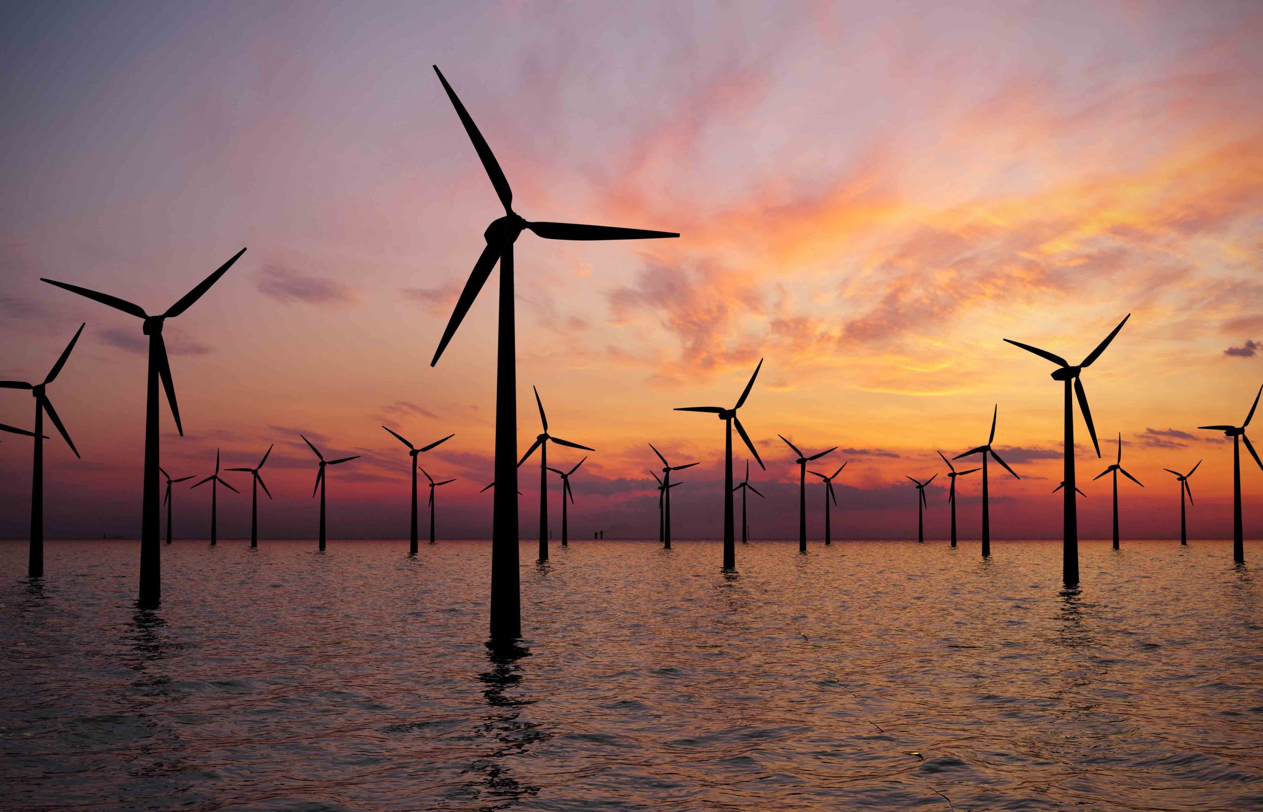 Sea wind turbine farm during sunset
